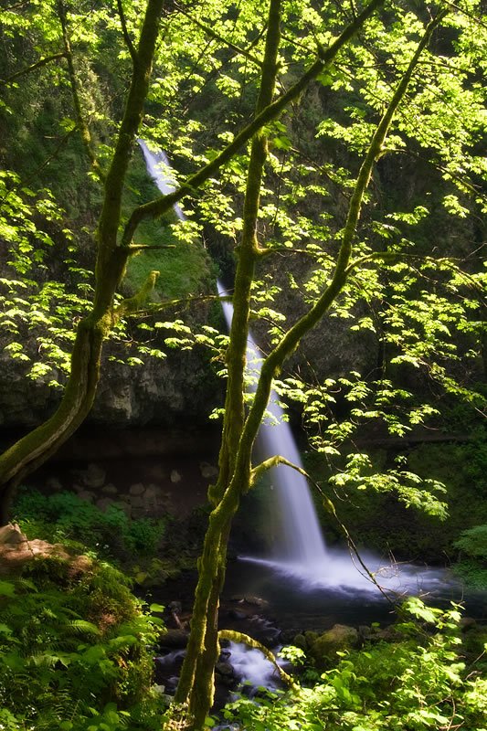 Steep rock walls form a narrow canyon passage.