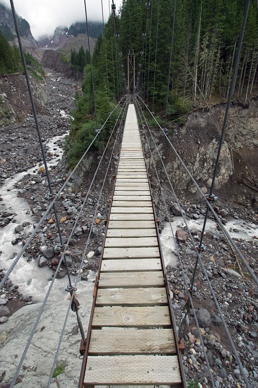 A narrow rocky canyon with a small stream running through it, surrounded by towering rock walls and natural light filtering through the top.