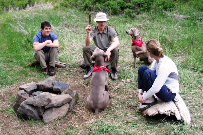 A group of people and dogs relaxing around a small, rustic fireplace in a lush green field.
