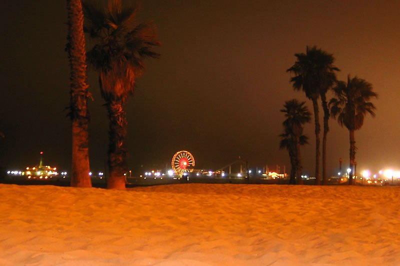 A view of a brightly lit Ferris wheel at night from a sandy beach, with palm trees lining the foreground. The warm glow of the amusement park lights reflects softly on the sand.