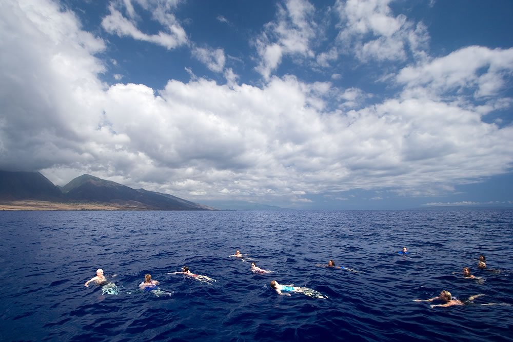 A group of swimmers enjoying the ocean with mountains in the background.