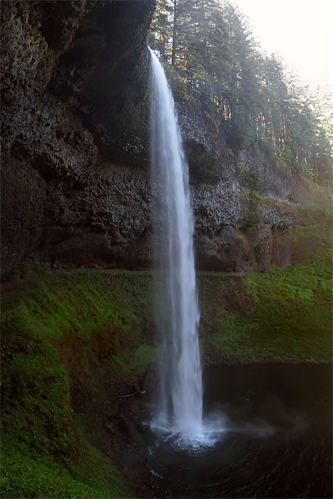 A serene waterfall cascading down into a dark pool, surrounded by misty forest trees.
