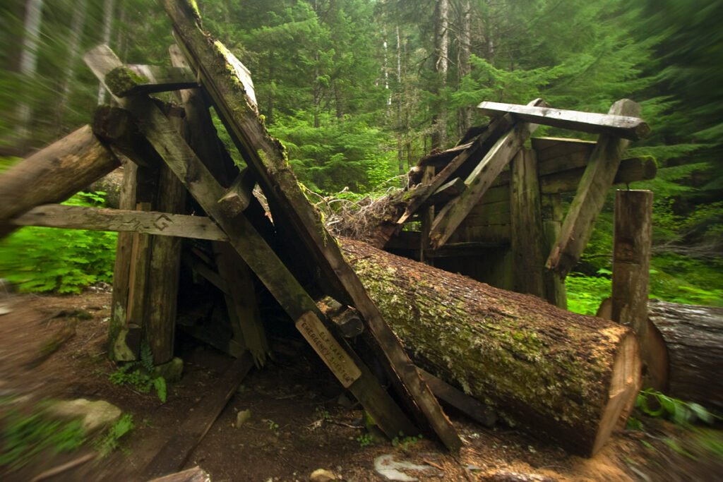 A moss-covered, rustic wooden bridge collapsing into a dense, green Pacific Northwest forest.