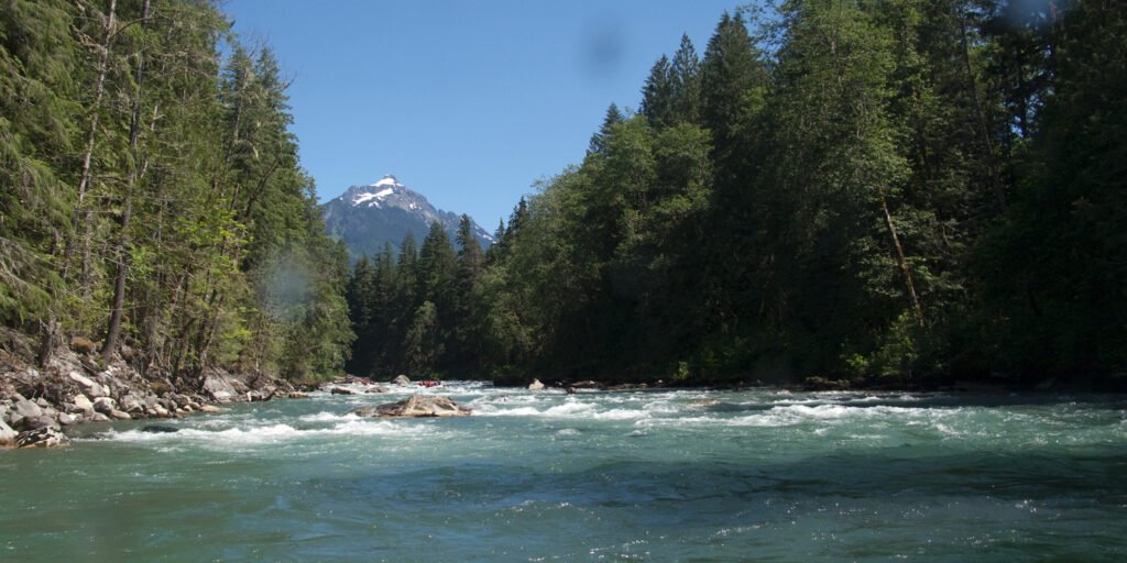 A beautiful view of a river flowing through the Pacific Northwest. The scene showcases a clear turquoise river with white water rapids, flanked by dense green forests and rugged mountains in the background under a bright blue sky.