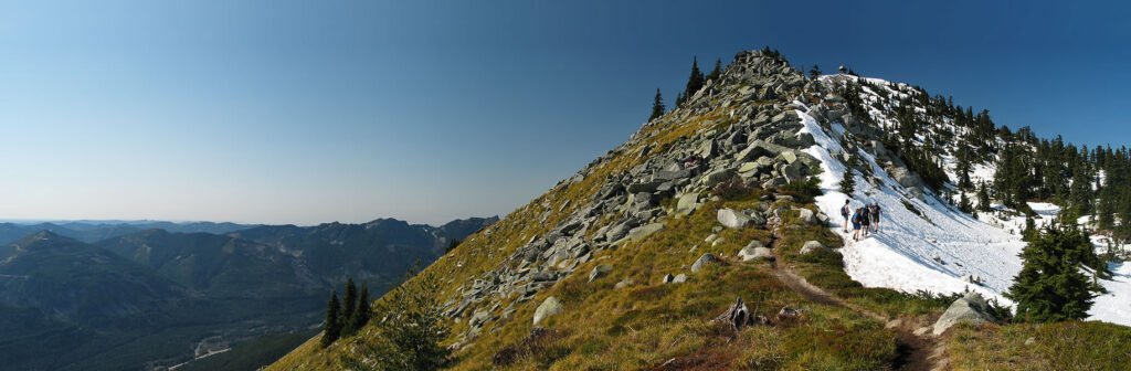 A picturesque view of a snow-capped mountain peak in the Pacific Northwest, featuring rocky trails and sparse pine trees against a clear blue sky.