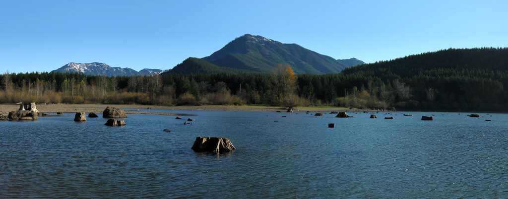A serene lake surrounded by dense forests under a clear blue sky, with distant mountains in the background.