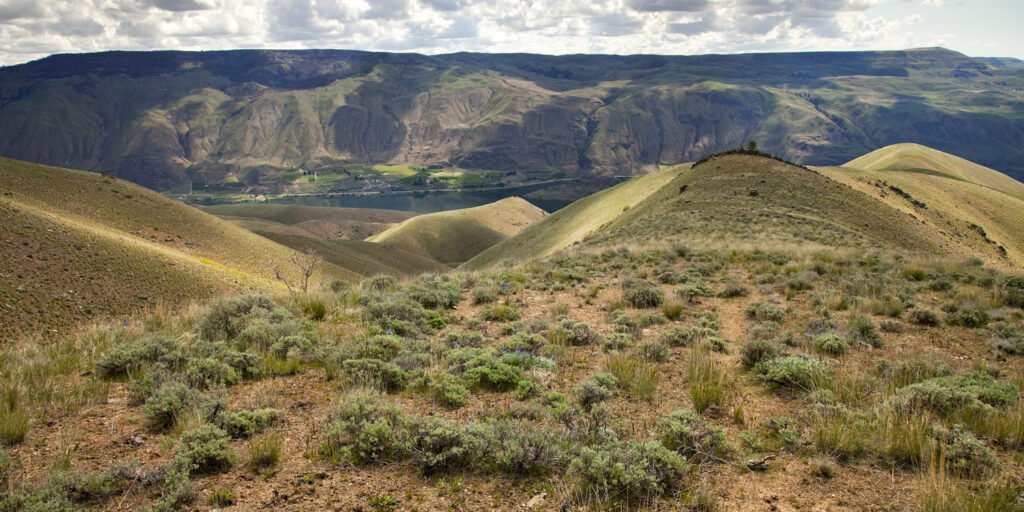 A breathtaking view of rolling hills and distant mountains with a serene lake nestled in the valley, showcasing the natural beauty of the Pacific Northwest.