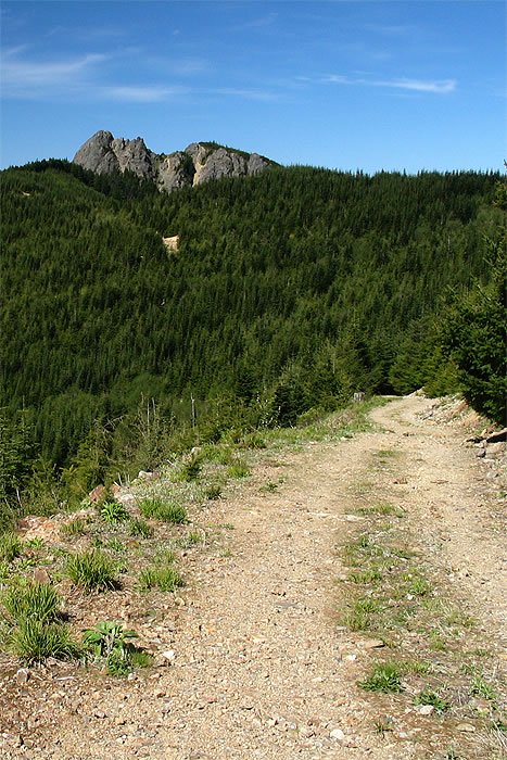 A gravel path winds through a lush forest with towering mountains in the background under a clear blue sky.