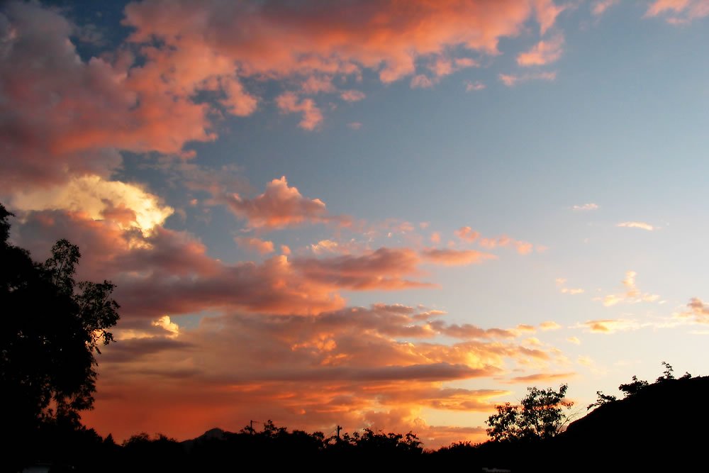 A breathtaking view of a vibrant sunset with pink and orange clouds over silhouetted trees and rolling hills in the Pacific Northwest.