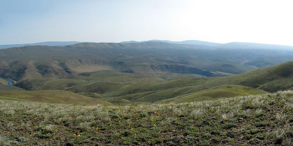 A vast expanse of rolling hills and valleys under a clear sky, showcasing the rugged beauty of the Pacific Northwest.