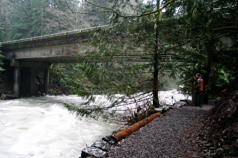 A gravel path alongside a swiftly flowing river under a bridge, surrounded by lush greenery.