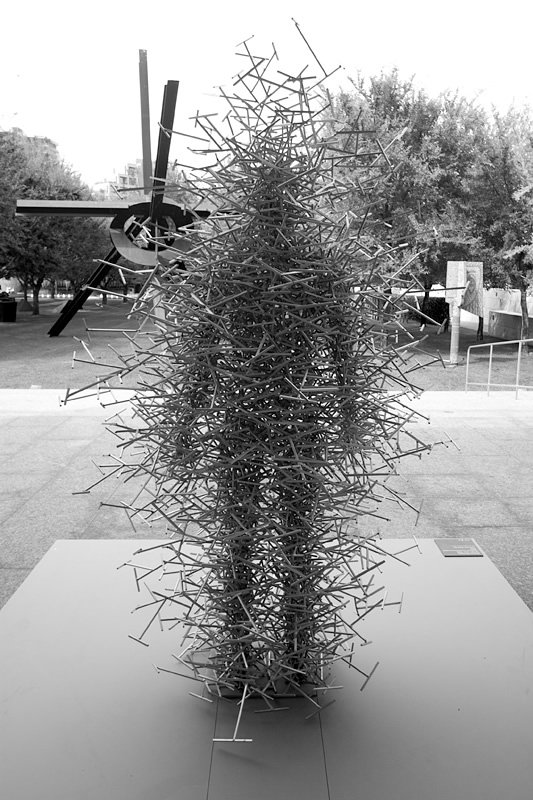A close-up of bare tree branches with an airplane propeller visible in the background at an outdoor air show.