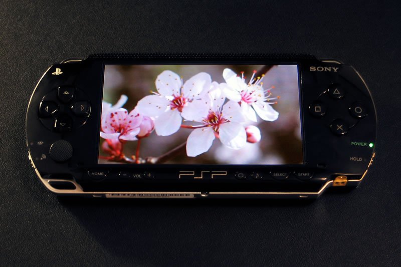 A Sony PSP handheld gaming console displaying a vibrant image of cherry blossoms in full bloom.