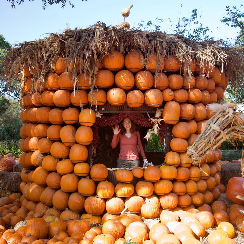 A woman stands inside a whimsical house made entirely of pumpkins with a straw roof. The scene is set outdoors with many more pumpkins surrounding the base.