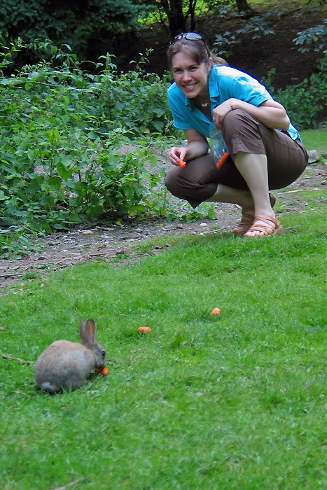 A person crouches on the grass while offering carrots to a small rabbit. The lush background highlights the greenery of the Pacific Northwest.