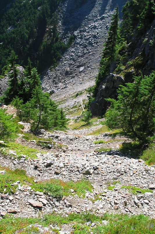 A rugged mountain path lined with green trees and scattered rocks, leading into the dense forest of the Pacific Northwest.