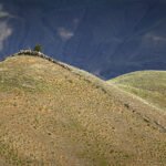 Laundry Room Makeover A rocky hill topped with a lone tree, set against a backdrop of rugged mountains, showcasing the vast and serene wilderness.