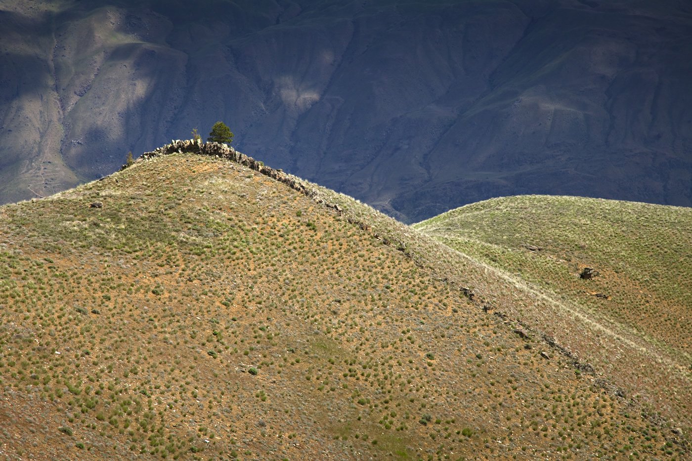 A rocky hill topped with a lone tree, set against a backdrop of rugged mountains, showcasing the vast and serene wilderness.