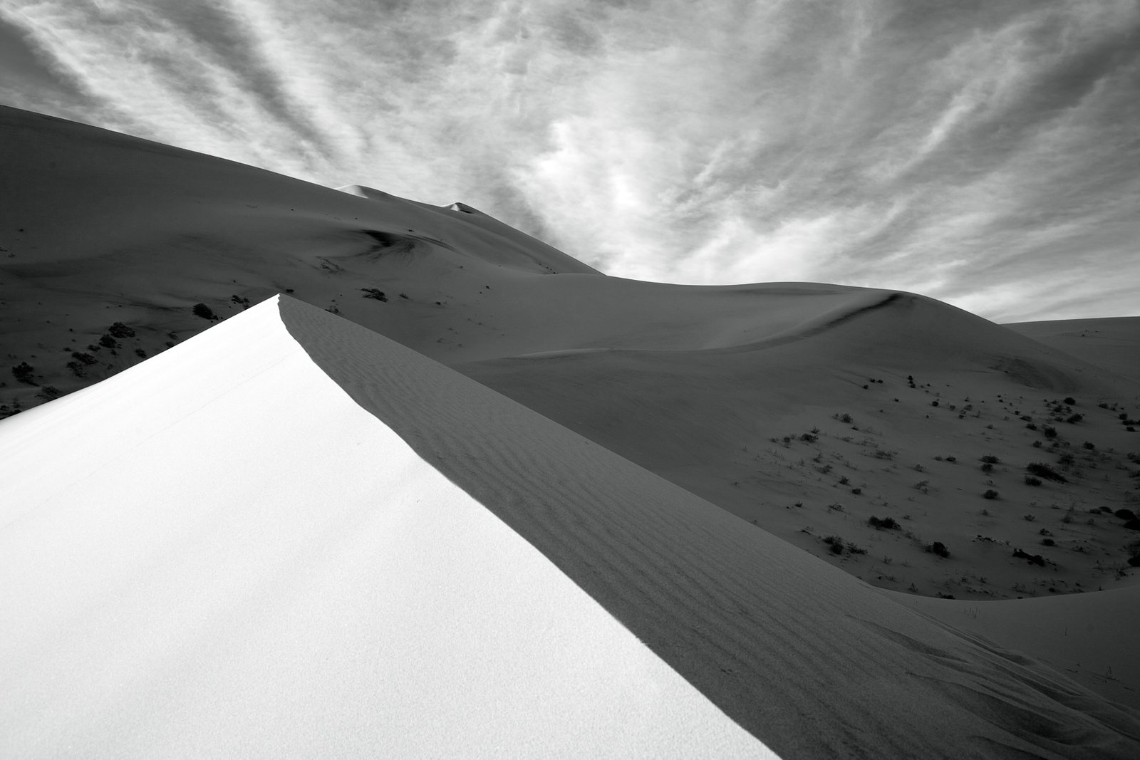 Eureka Dunes Grassy hills under a dramatic sky with a single tree on top.