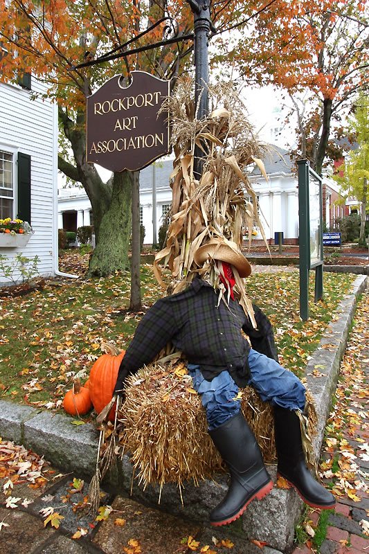A scarecrow sitting on a hay bale with cornstalks, near the Rockport Art Association sign.