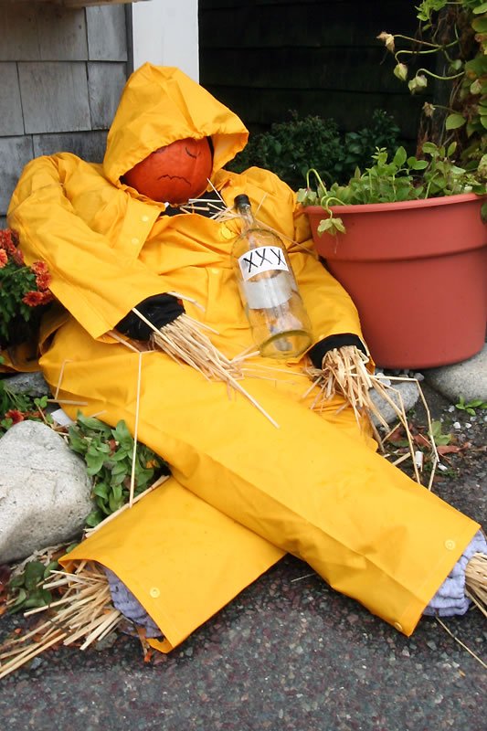 A scarecrow dressed in a yellow raincoat with a pumpkin head holding a bottle. It is positioned near green plants and a planter.