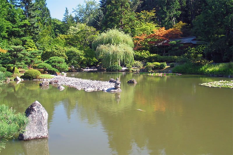 A tranquil Japanese garden pond surrounded by lush greenery and weeping willow trees. A large rock protrudes from the water's edge, adding to the peaceful scenery.
