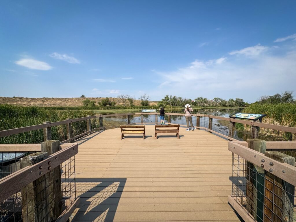 A wooden deck with benches extending over a tranquil lake, surrounded by lush greenery under a bright blue sky.