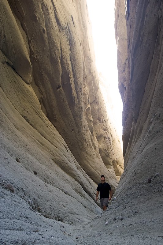 A person stands within a narrow, towering sandstone canyon, surrounded by smooth, textured rock walls. The scene captures the serene beauty of a natural slot canyon.