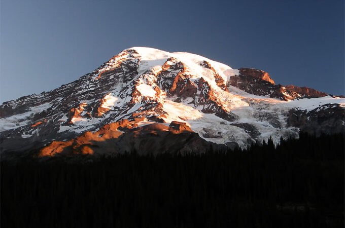 A majestic snow-capped mountain bathed in the golden light of sunset. The foreground features a silhouette of a dense pine forest.
