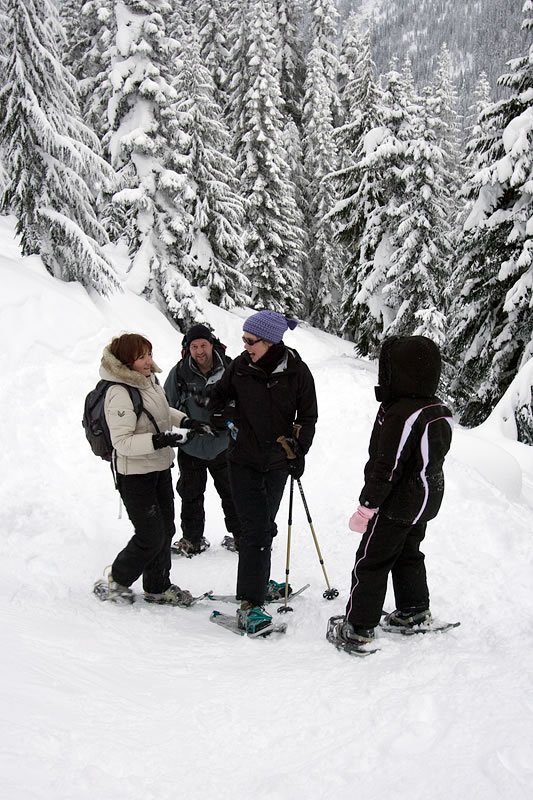 A group of people snowshoeing through a snowy forest landscape. The dense trees are heavily covered in snow, creating a serene winter scene.