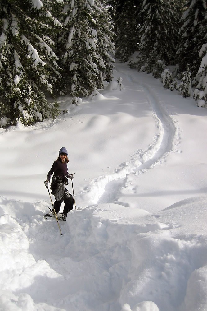 A skier descends a snowy trail surrounded by snow-covered evergreen trees, capturing the serene beauty of a winter forest.