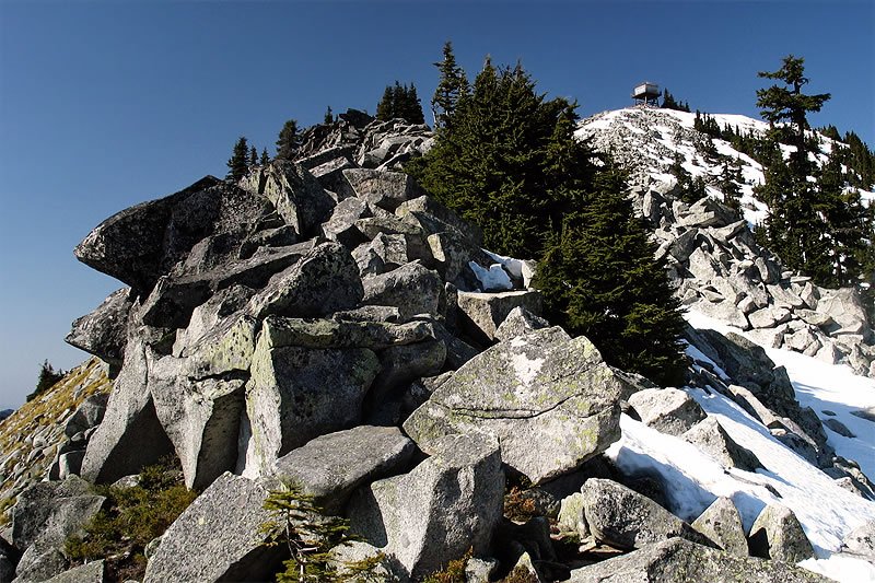 A rocky mountain summit with patches of snow, surrounded by evergreen trees under a clear blue sky.