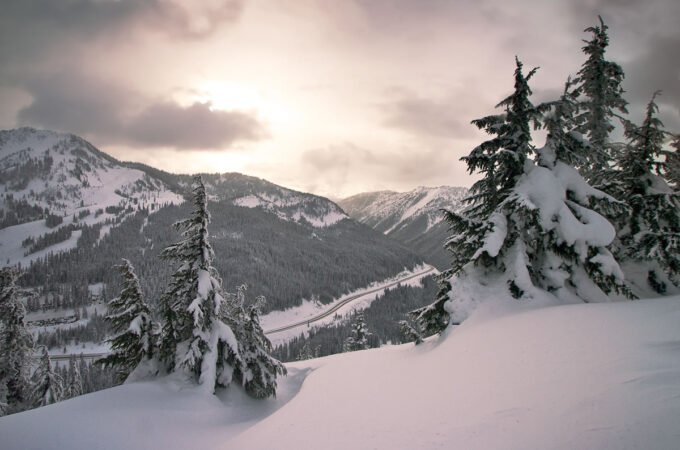 A picturesque view of a snow-covered mountain valley with tall evergreen trees in the foreground and a winding river below.