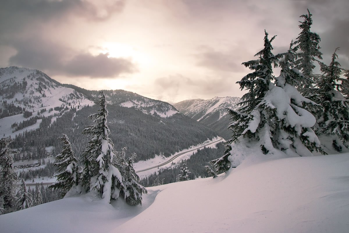 A picturesque view of a snow-covered mountain valley with tall evergreen trees in the foreground and a winding river below.