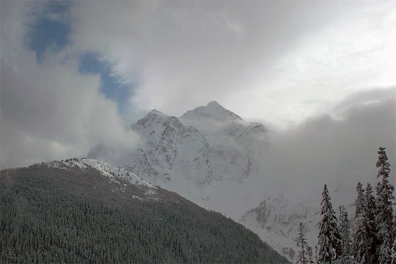 Snow-covered mountain peaks partially hidden by thick clouds with evergreen trees in the foreground.