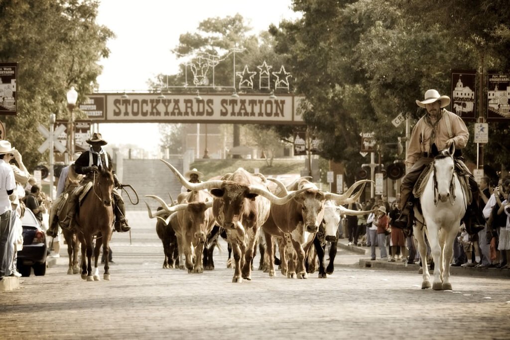 Riders on horseback guide a herd of longhorn cattle under a sign reading 'Stockyards Station,' capturing a moment from the historic Fort Worth Stockyards. The scene is filled with spectators watching the traditional cattle drive.