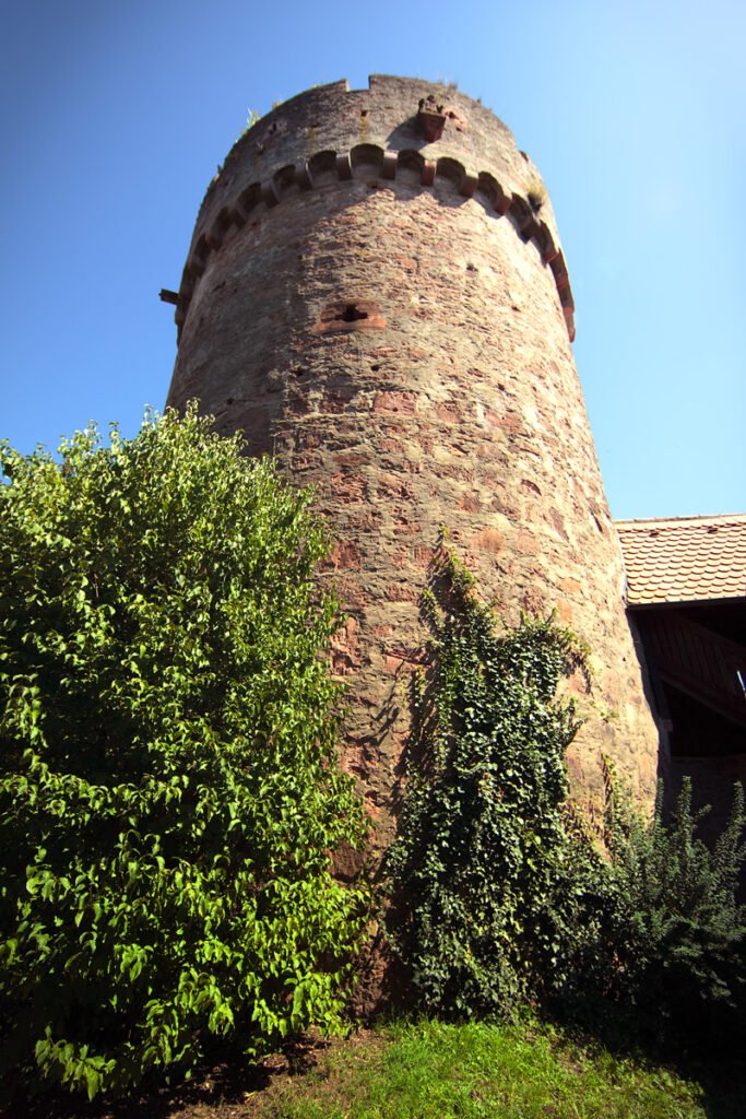 A historic stone tower stands tall against a blue sky, surrounded by lush greenery and ivy.