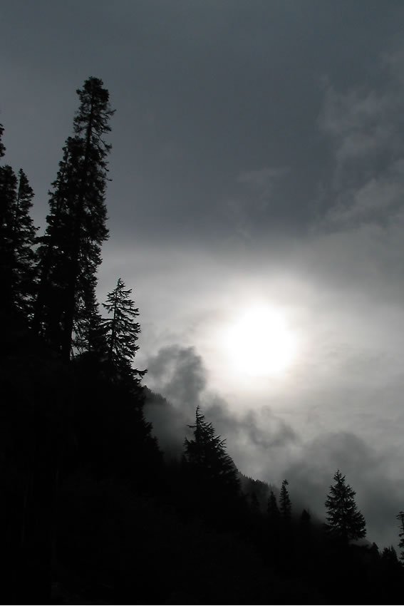 The sun peeks through dense clouds above a dark silhouette of evergreen trees, creating a dramatic contrast in lighting and atmosphere.