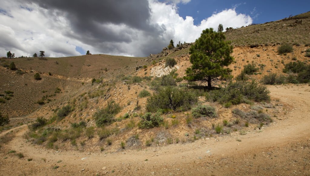 A surreal, tilting landscape featuring a winding dirt road through dry, brush-covered hills under a dramatic sky with clouds. A prominent green tree stands on the slope next to the path.