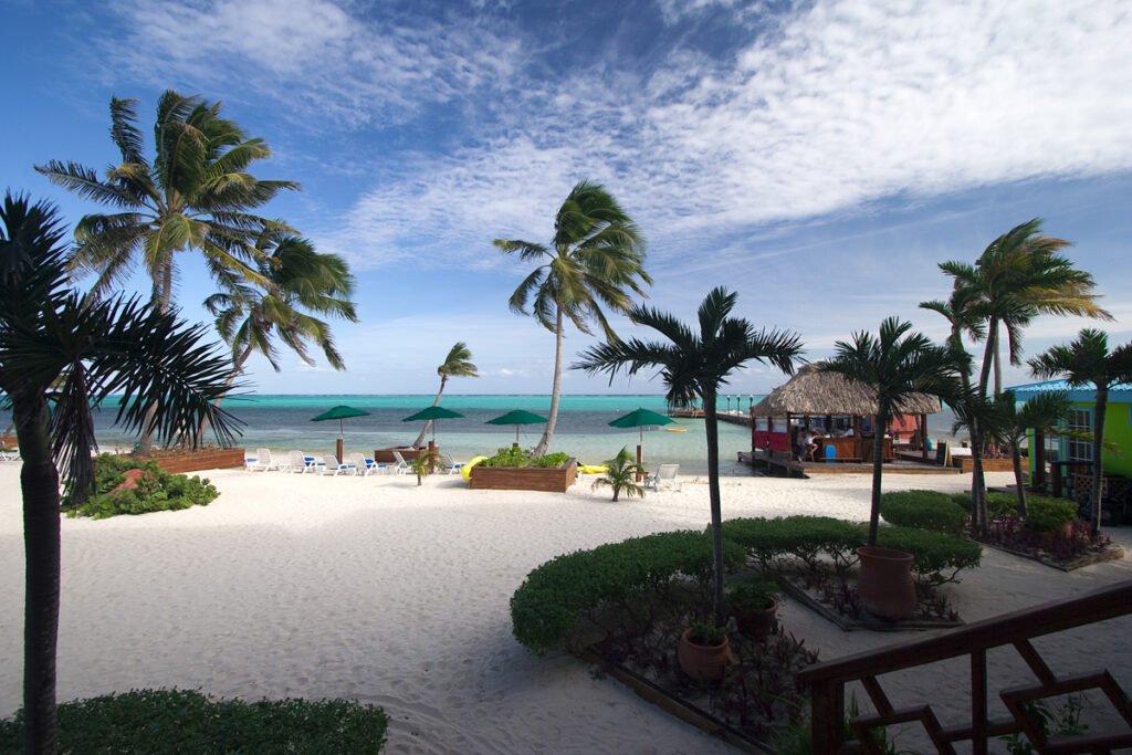 A serene tropical beach scene featuring palm trees swaying in the breeze, white sand, turquoise waters, and a few beach umbrellas under a bright blue sky.