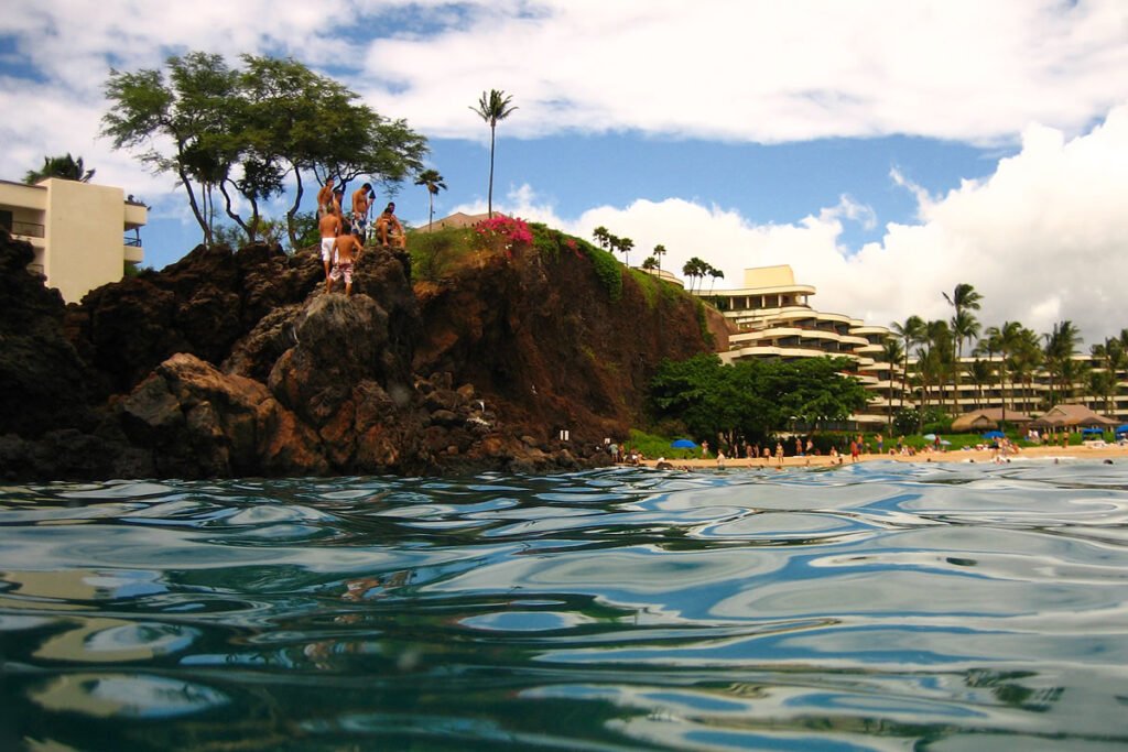 A stunning tropical beach with clear turquoise waters, palm trees swaying in the breeze, and a rocky outcrop adorned with vibrant flowers.