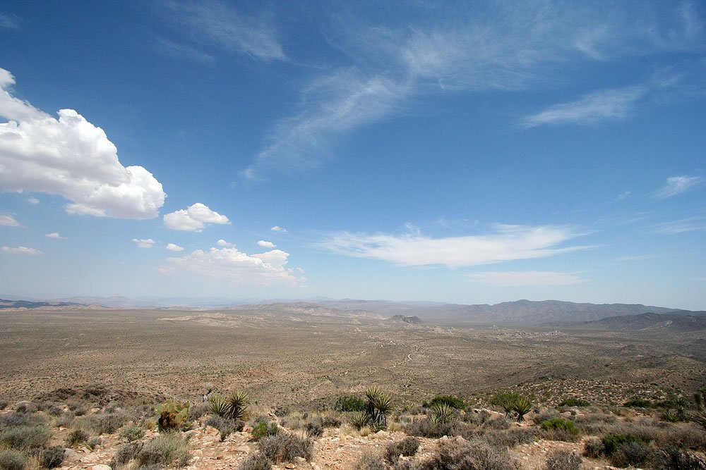 A panoramic view of a sprawling desert landscape with sparse vegetation and distant mountains under a clear blue sky with scattered clouds.