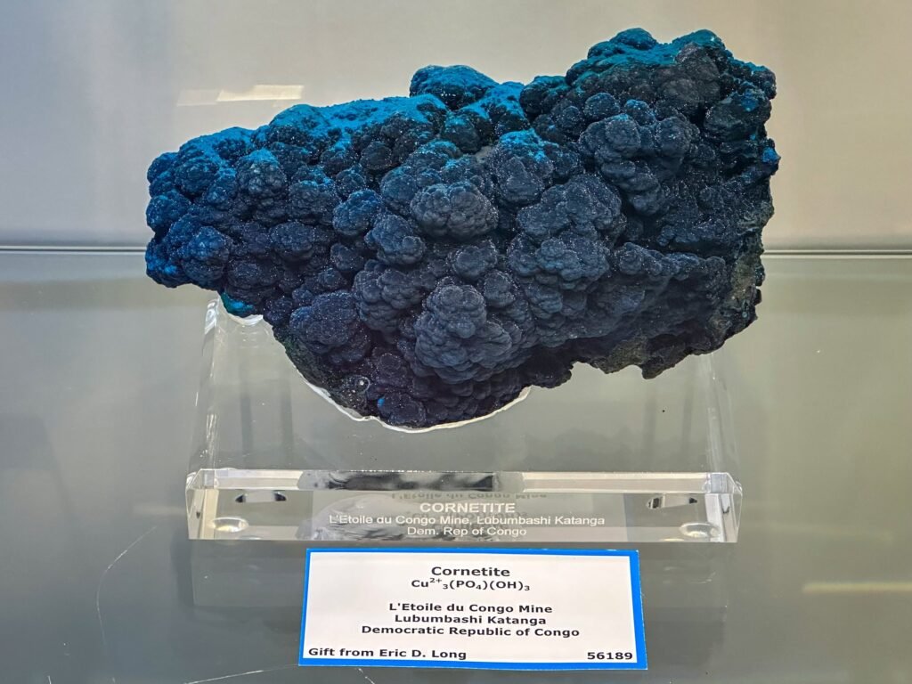 A stunning blue mineral specimen identified as Carnotite; it's displayed on a clear stand in a museum exhibit.