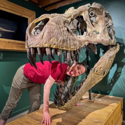 A woman in a red shirt and beige pants leans playfully against a large T-Rex skull exhibit inside a museum. The background features green walls with shadowed dinosaur silhouettes and a mounted velociraptor model behind glass.