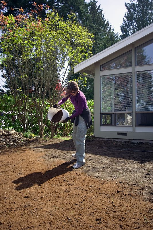 A woman is planting a tree while carefully repotting it into the soil during springtime gardening.