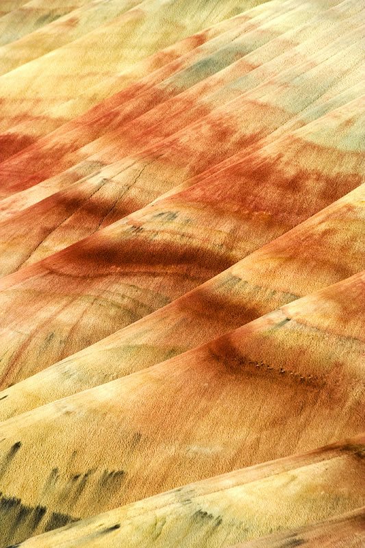 A close-up view of a textured wood surface with streaks of orange, brown, and green hues.