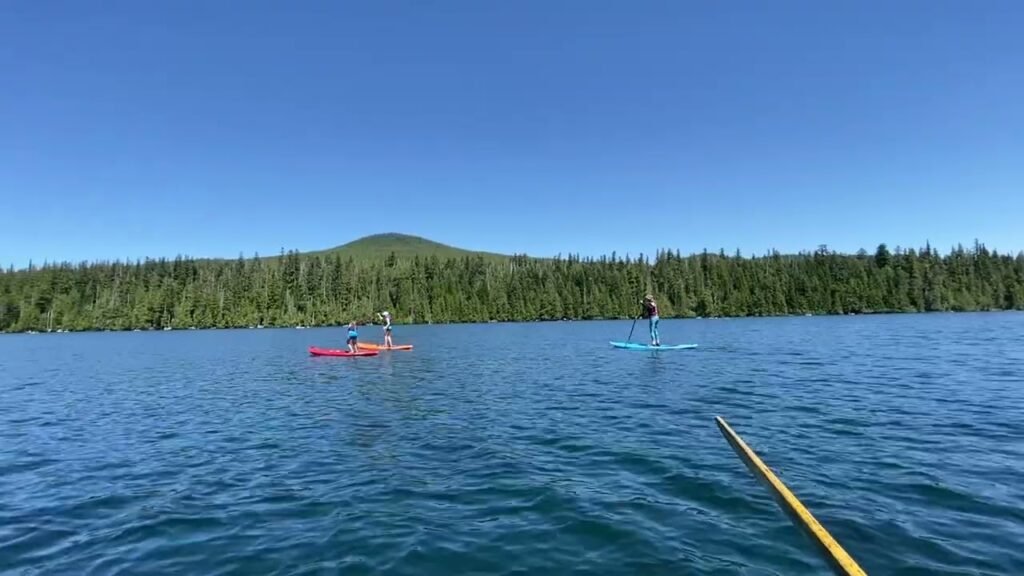 A first-person view from a canoe paddling on a clear lake surrounded by dense evergreen forests.