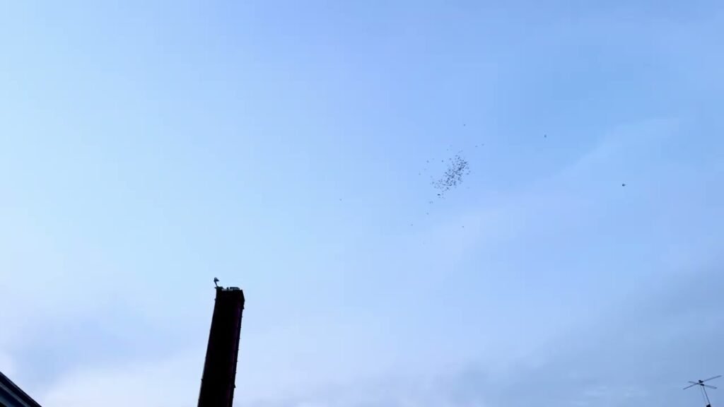A small airplane flies high in the distance above a tall smokestack and light blue sky.