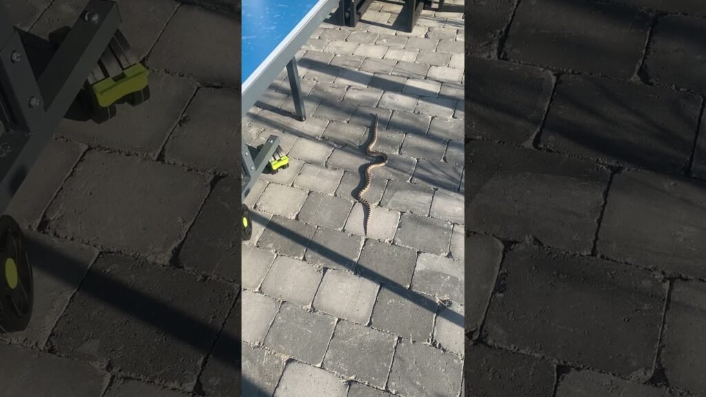 A close-up, low-angle view of a dark cobblestone pavement with visible cracks and shadows near a blue structure.
