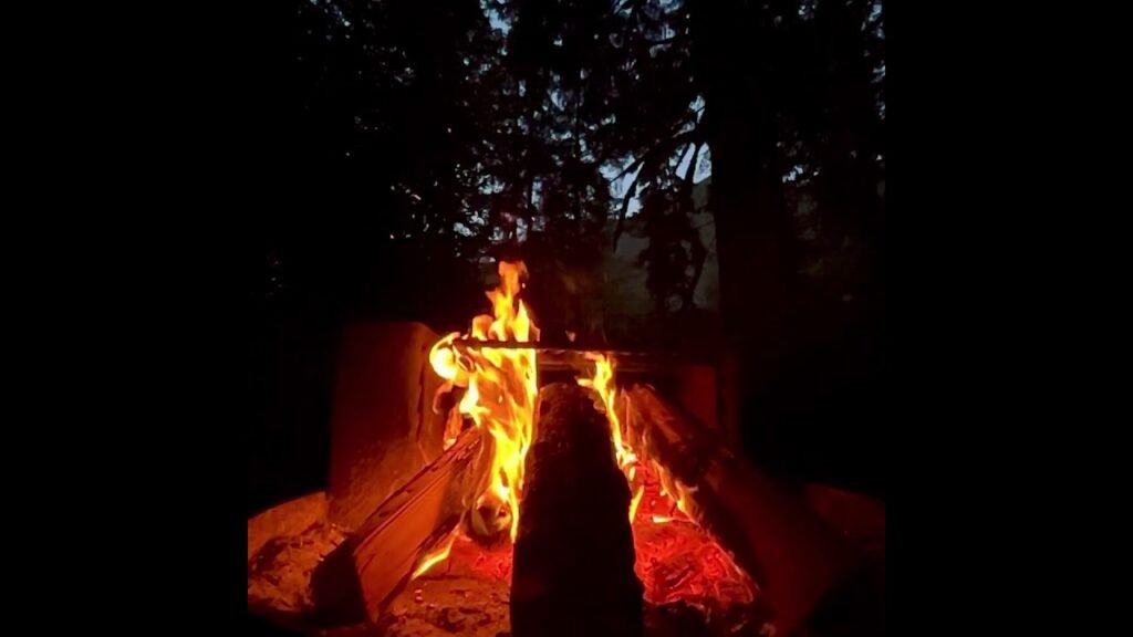 Bright campfire burning at dusk. Dark trees in the background.